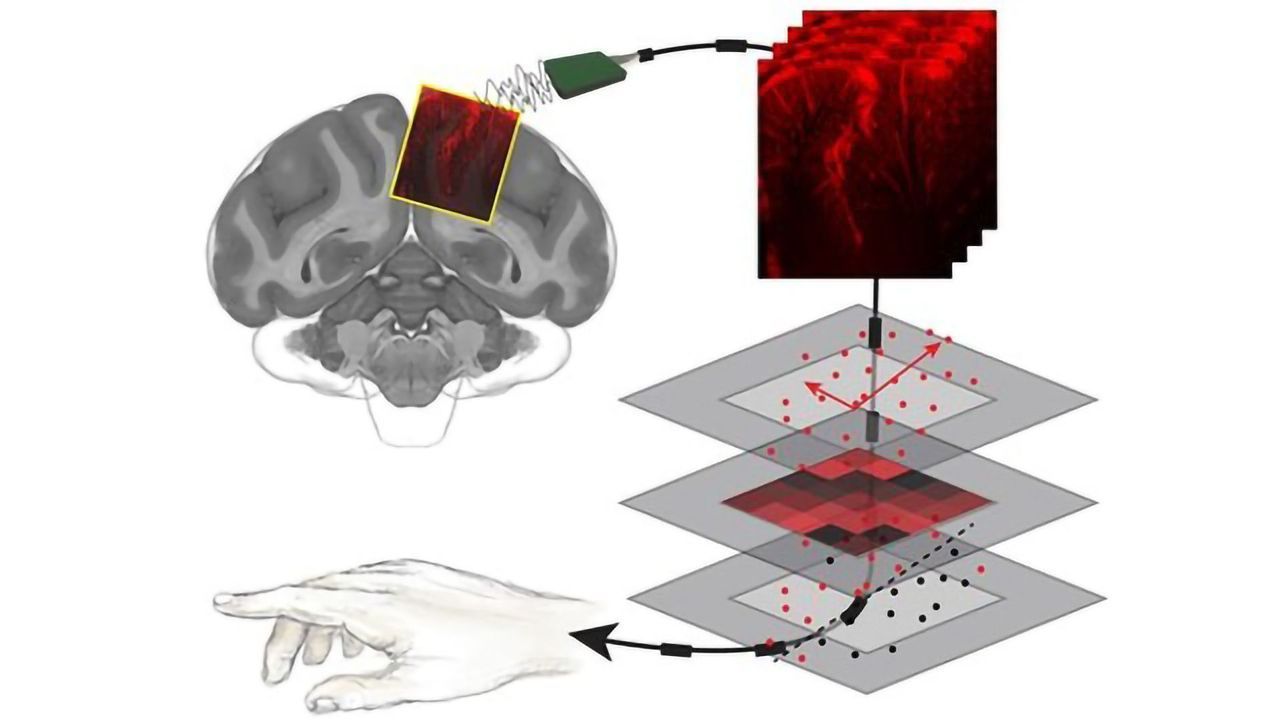 Reading Minds With Ultrasound