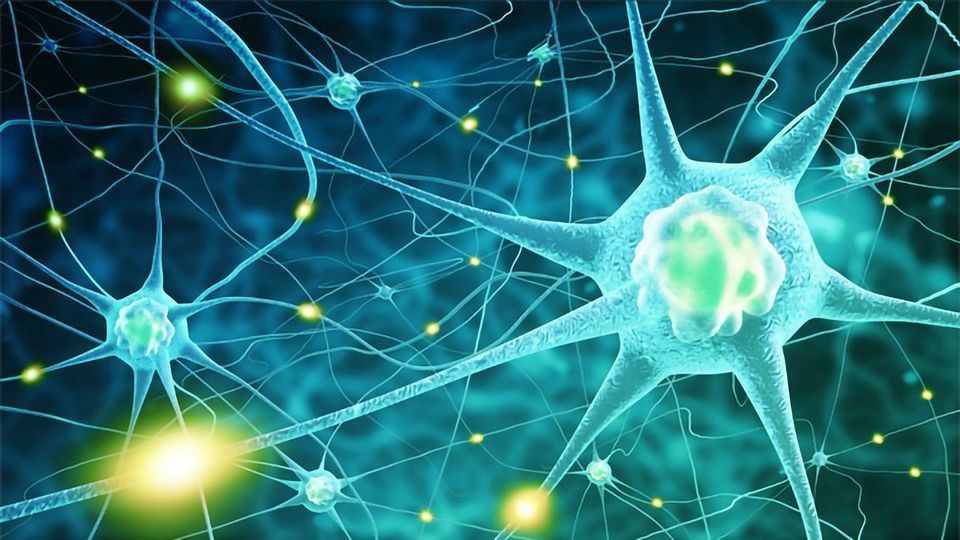 Sleep Duration Linked to Overlooked Brain Cell content piece image