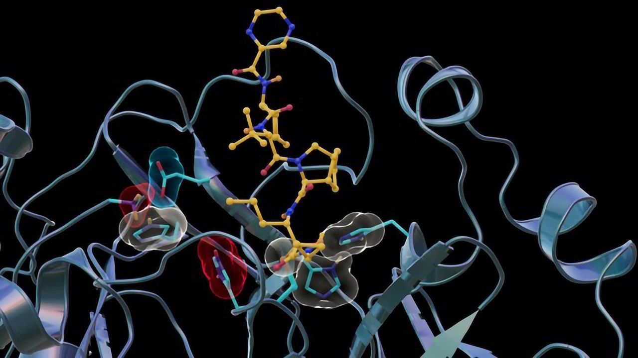 Unexpected Binding Between SARS-CoV-2 and Antiviral Drug