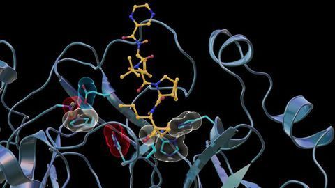 Unexpected Binding Between SARS-CoV-2 and Antiviral Drug
