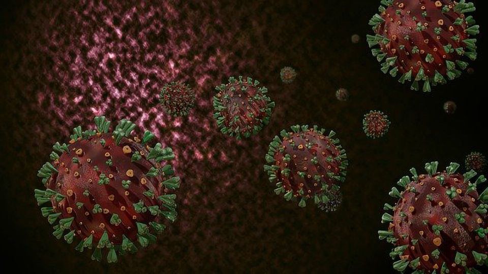 Supercomputer Aids Understanding of How Coronavirus Variants Escape Immunity content piece image