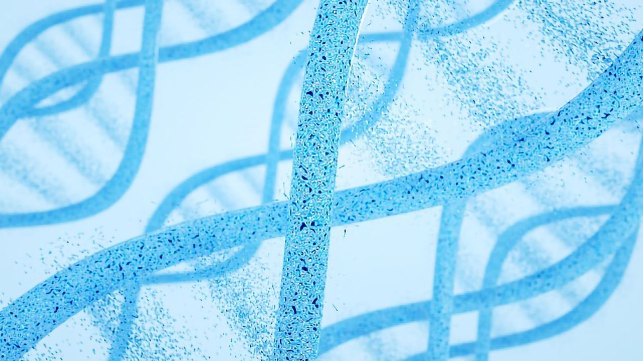 New Platform Connects the Genome and Proteome Worlds