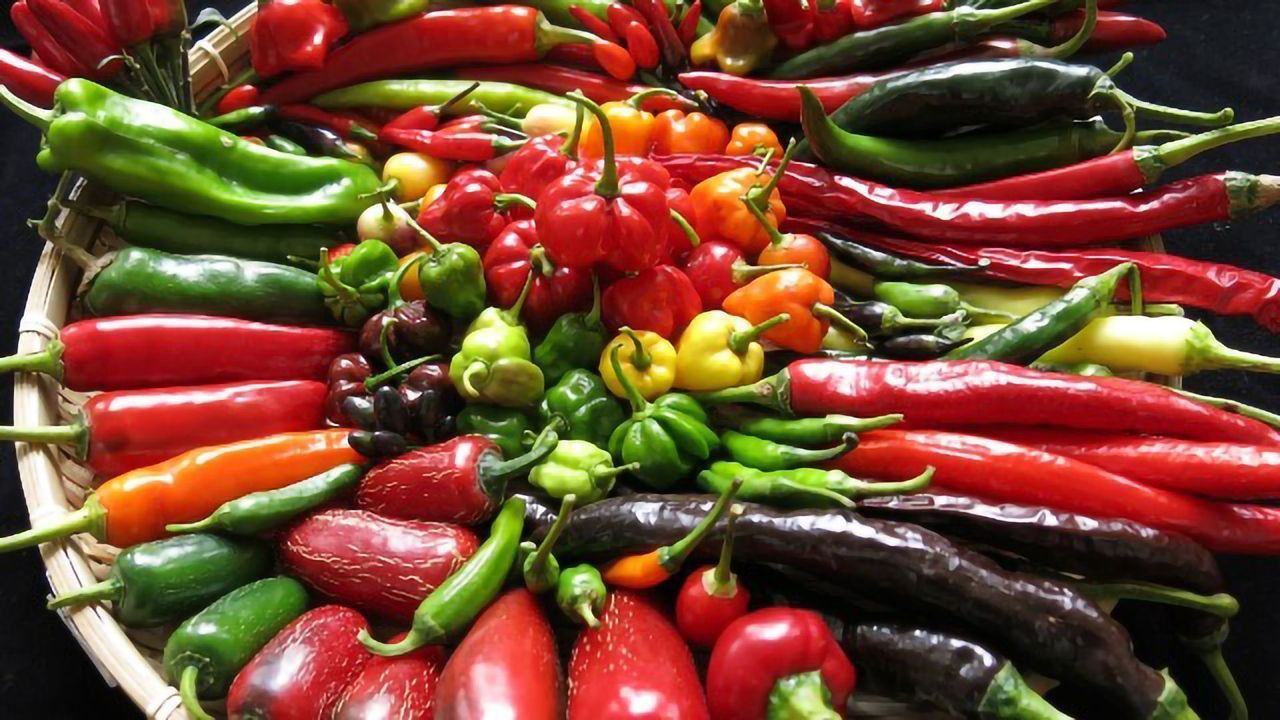 Chilli Production Is About To Get Spiced Up Thanks to New Genetic Findings
