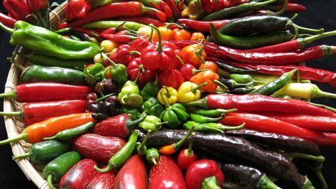 Chilli Production Is About To Get Spiced Up Thanks to New Genetic Findings