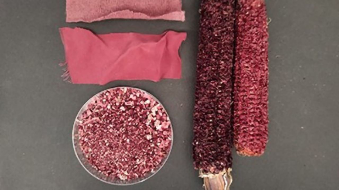 Corn Cobs as Valuable as the Corn