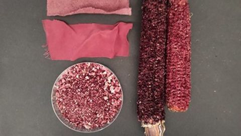 Corn Cobs as Valuable as the Corn