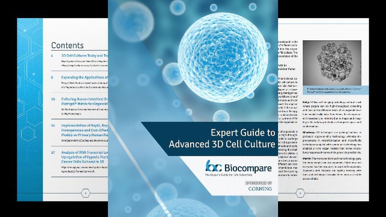 Expert Guide to Advanced 3D Cell Culture