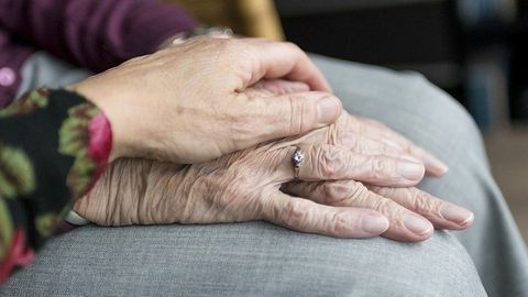 How the Aging Immune System Is Impaired by Long-Term Infection and Inflammation