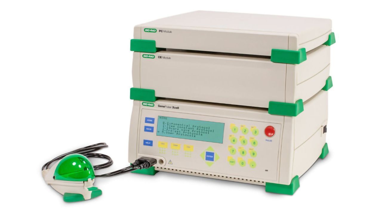 Gene Pulser Xcell Electroporation Systems