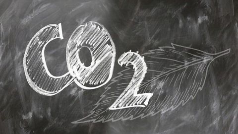 Catalyst Improvements Could Aid CO2 Conversion