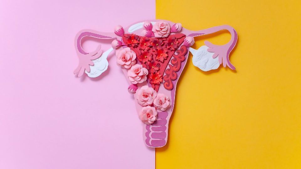 Diagnosing and Understanding Endometriosis With Dr Christine Metz content piece image