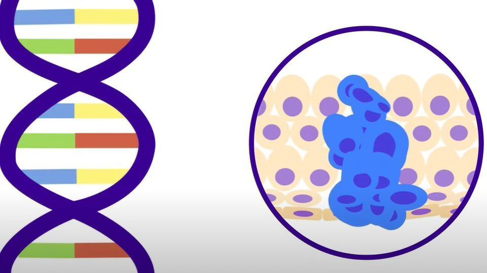 What Is Cancer and How Does It Start? content piece image