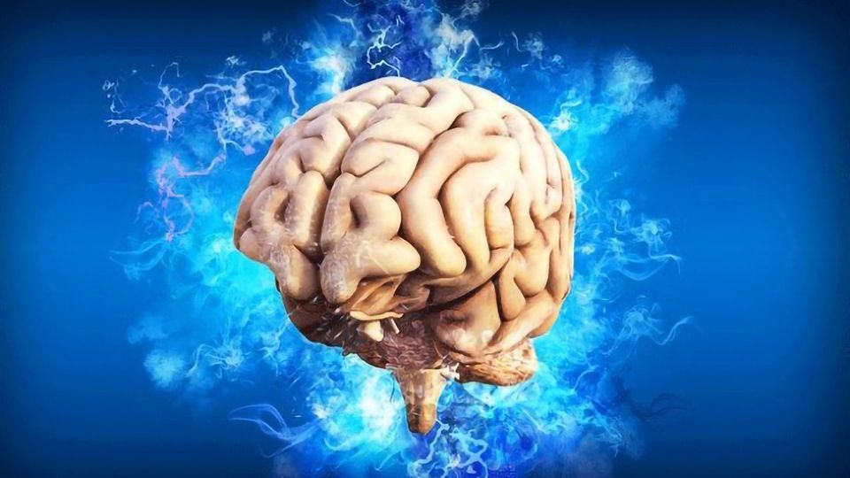 Metformin Reduces Seizure Frequency and Tumor Size in Tuberous Sclerosis content piece image