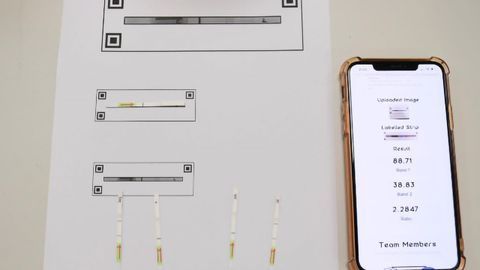 CRISPR-Based Test Can Detect SARS-CoV-2 Variants