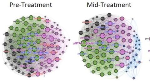 Chronic Infections May "Age" the Immune System