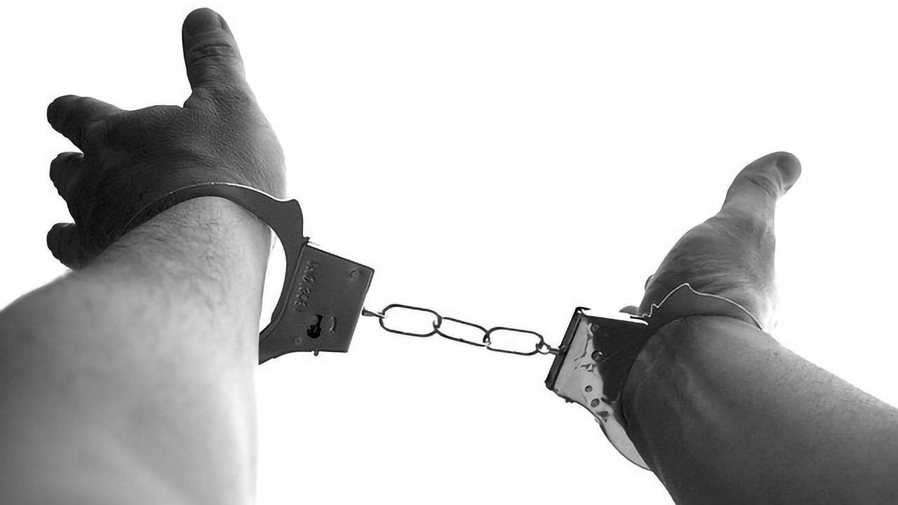 Food Crime Q&A