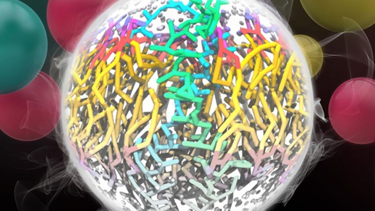 Simulated, Not Stirred: Martini Forcefield Reveals Atomic Interactions