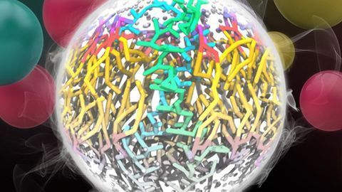 Simulated, Not Stirred: Martini Forcefield Reveals Atomic Interactions