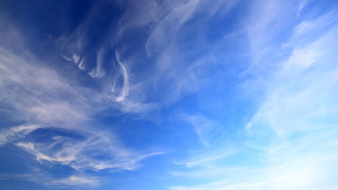First Evidence of Animal and Human DNA Collection From Air