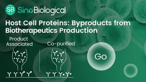 HCPs: Byproducts from Biotherapeutics Production