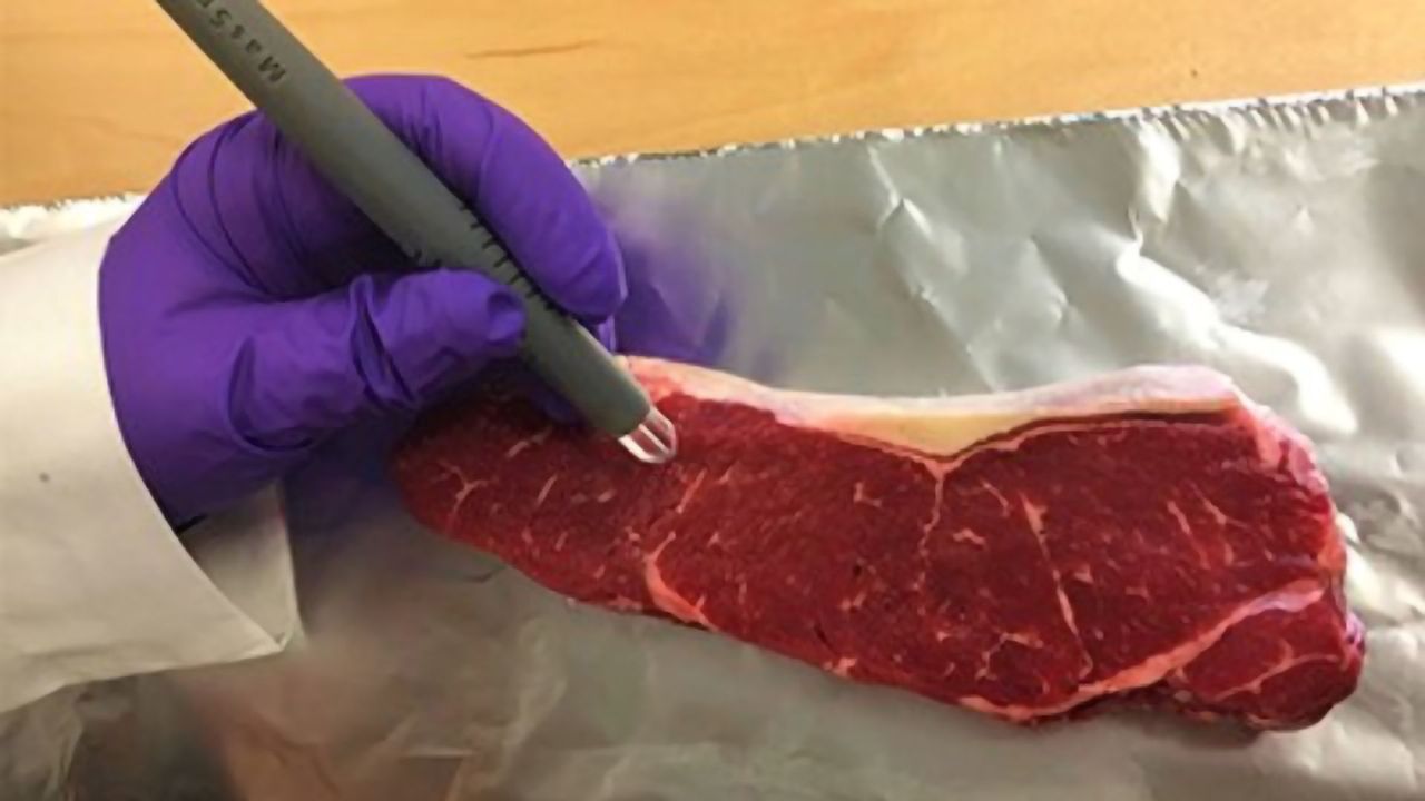 Handheld "MasSpec Pen" Identifies Food Fraud in Seconds