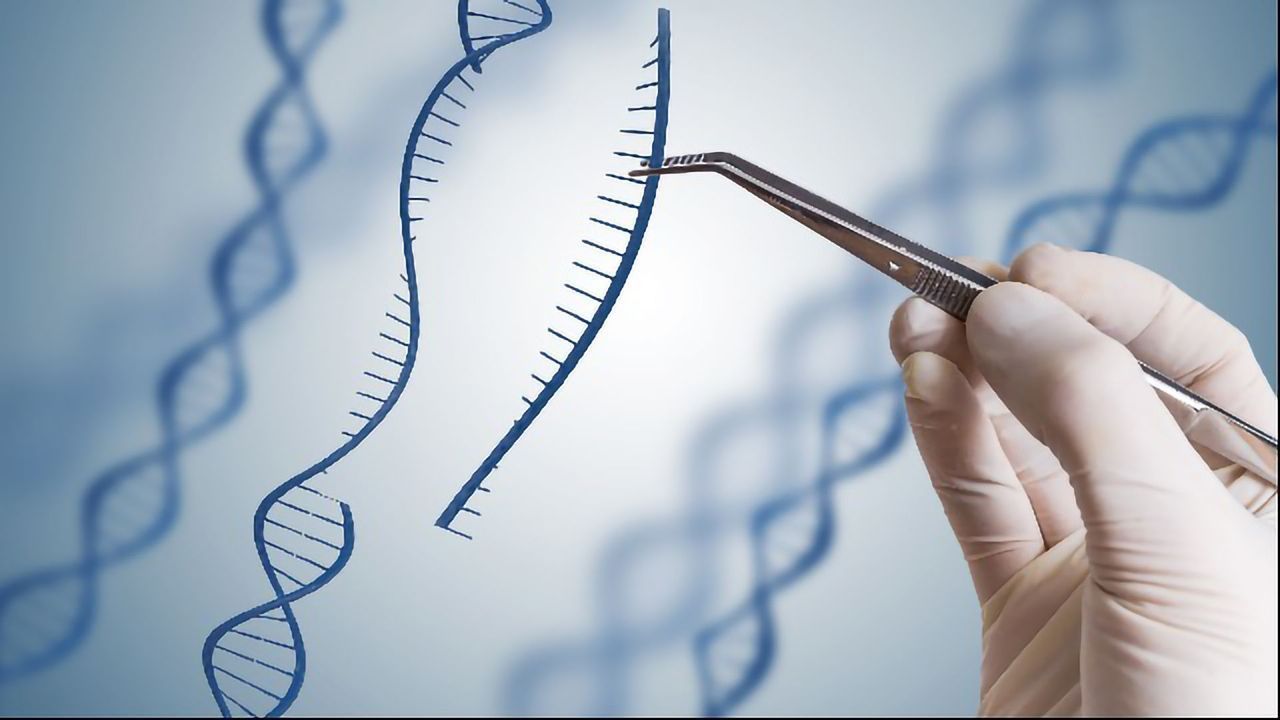 New Generation of siRNA Could Enable New RNA Therapies