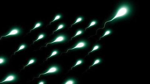 Testicular Cancer May Be Associated With Exposure to Environmental Chemicals Suggests Canine Study