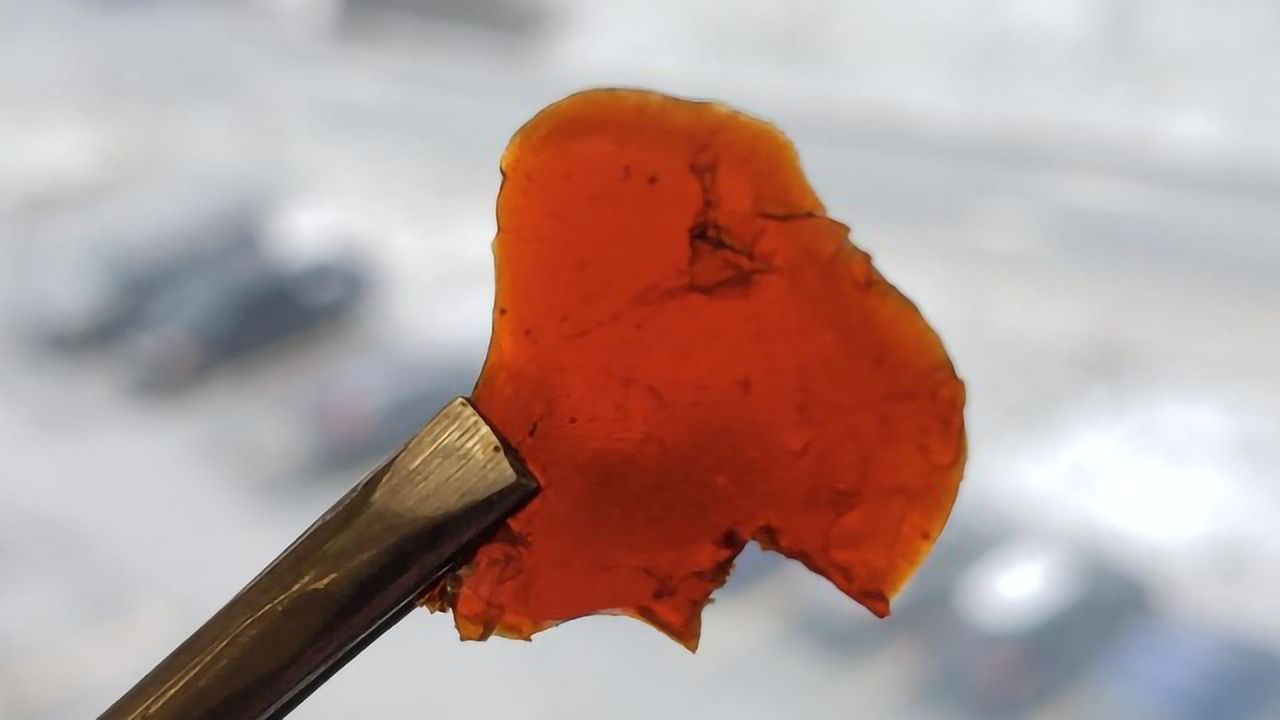 Greener Plastics Made From Fish Waste