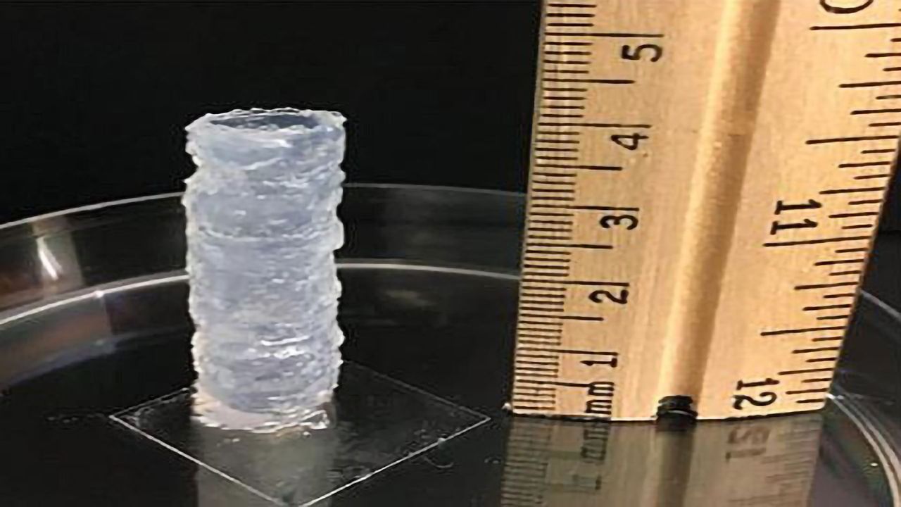 Ultrashort Peptides Make for a Cell-Friendly Biomaterial