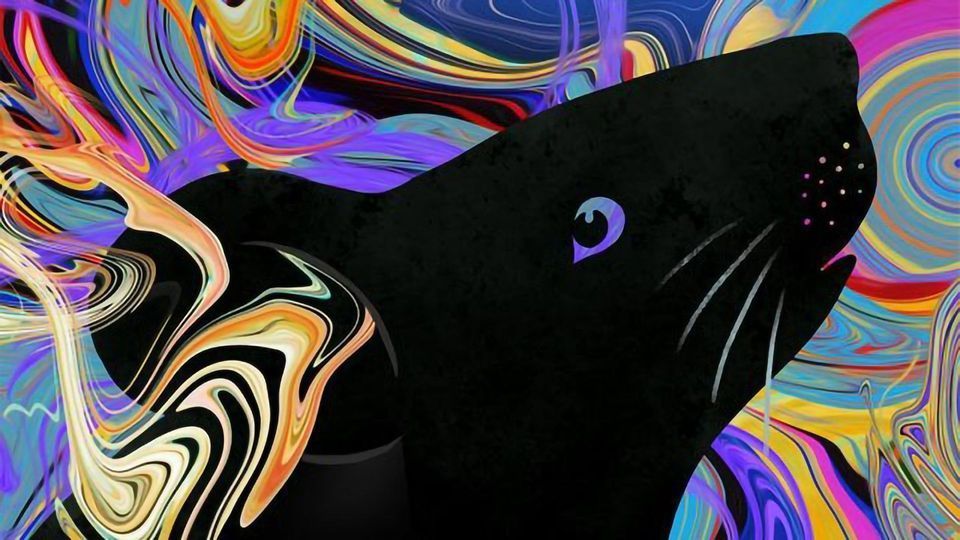 Mouse Hallucinations Give Insight Into Psychotic Illnesses content piece image