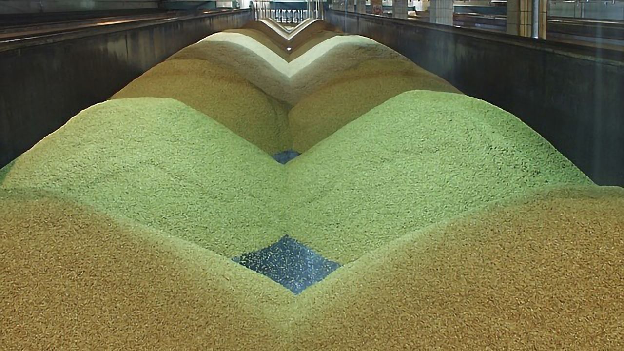 Beer Waste Reinvented as Food and Fuel
