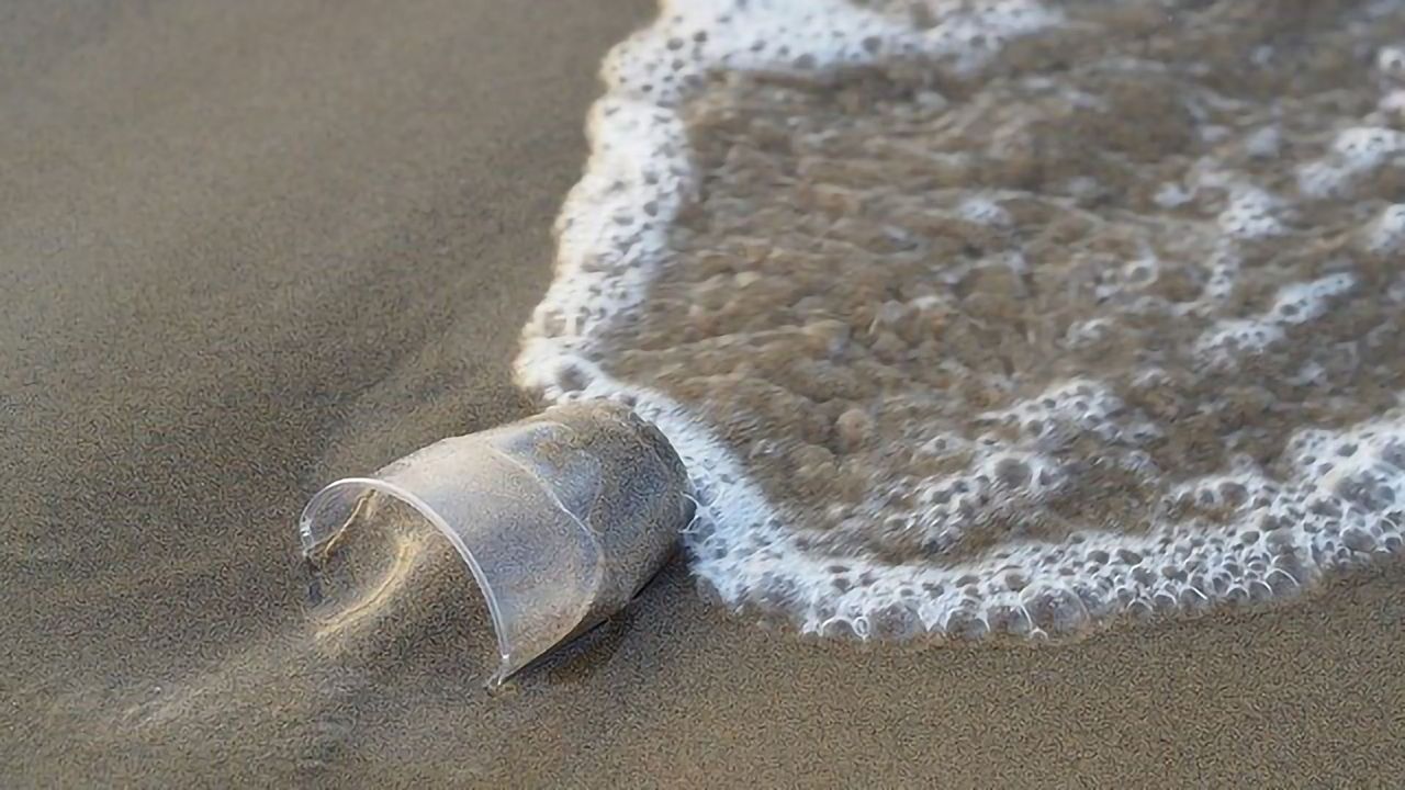 Biodegradation of Synthetic Plastic in the Marine Habitat