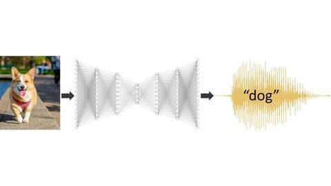 Like Us, Deep Learning Networks Prefer a Human Voice