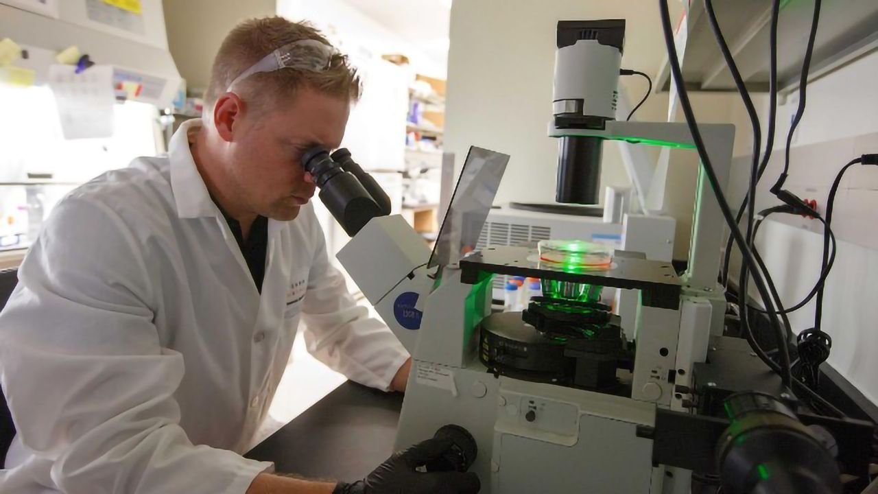 Immune Signaling Failure May Cause Crohn's Disease