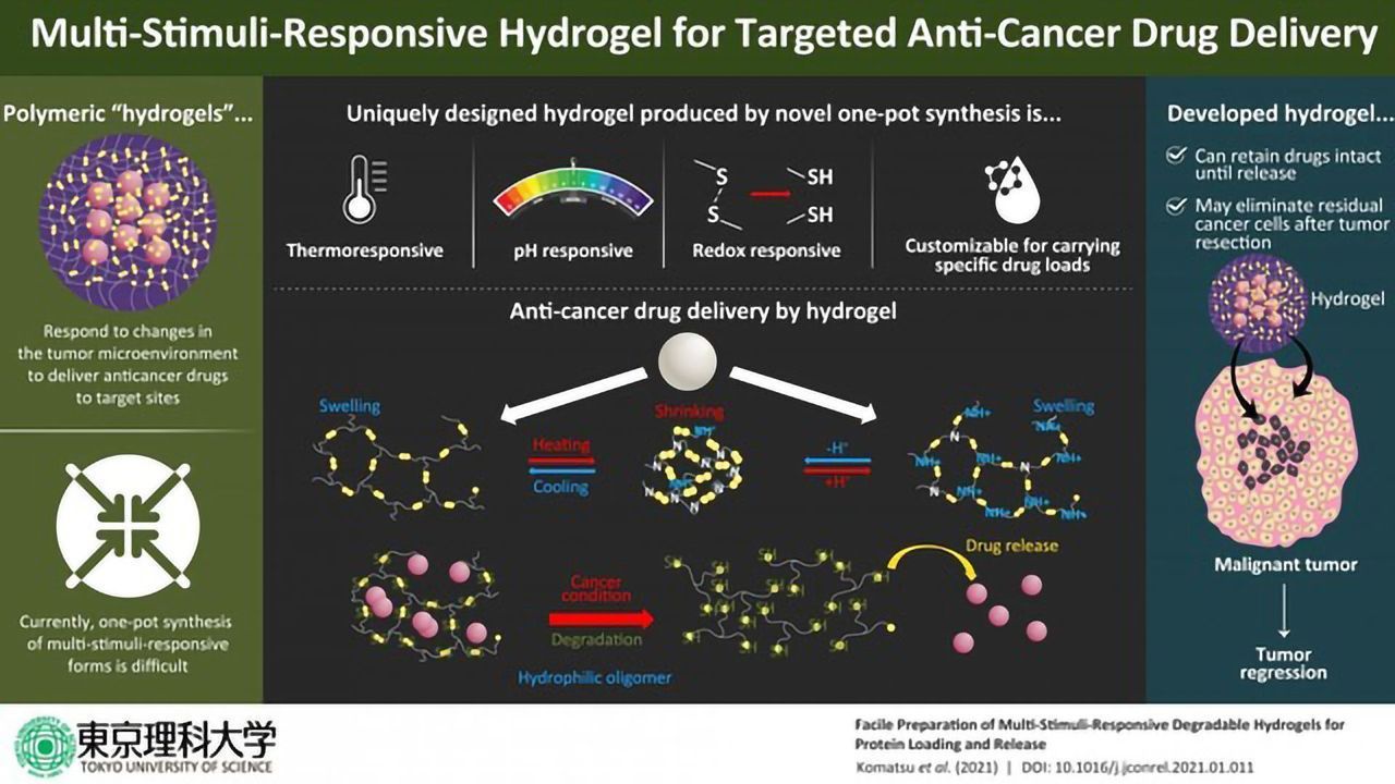 Novel "Hydrogel" Carriers for Anticancer Drugs Developed