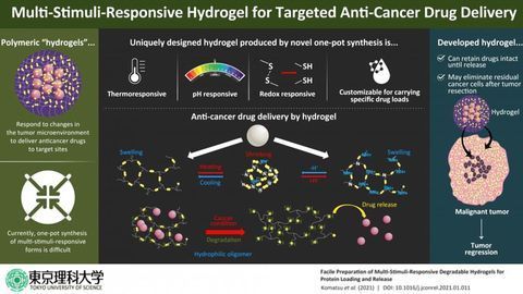 Novel "Hydrogel" Carriers for Anticancer Drugs Developed