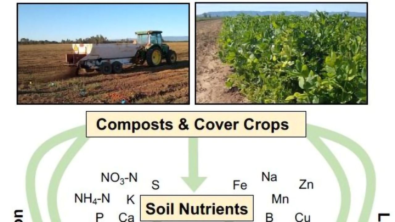 Animal-Based Composts May Reduce Spread of Foodborne Disease