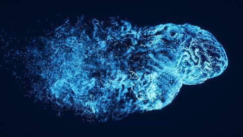 Mouse Study Links Biochemical Pathway Changes to Biopolar Disorder