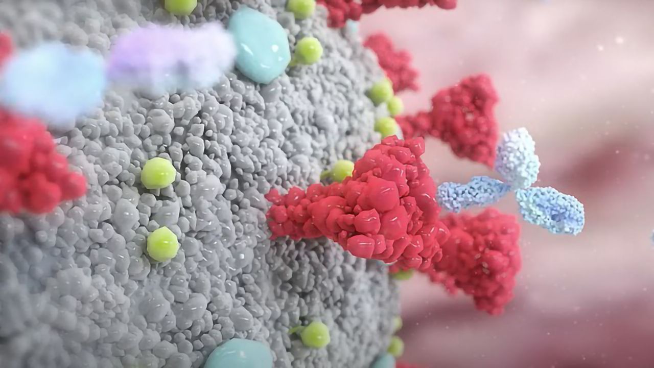COVID-19: Therapeutics, Preventives and Industry Perspectives