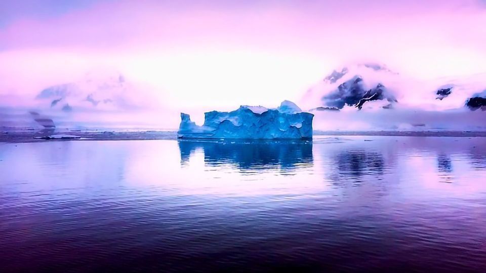 Warming Planet Puts a Third of Antarctic Ice Shelf at Risk of Collapse content piece image