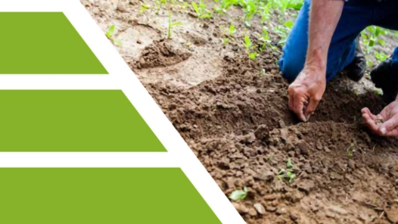 Environmental Sample Analysis With GC-MS/MS