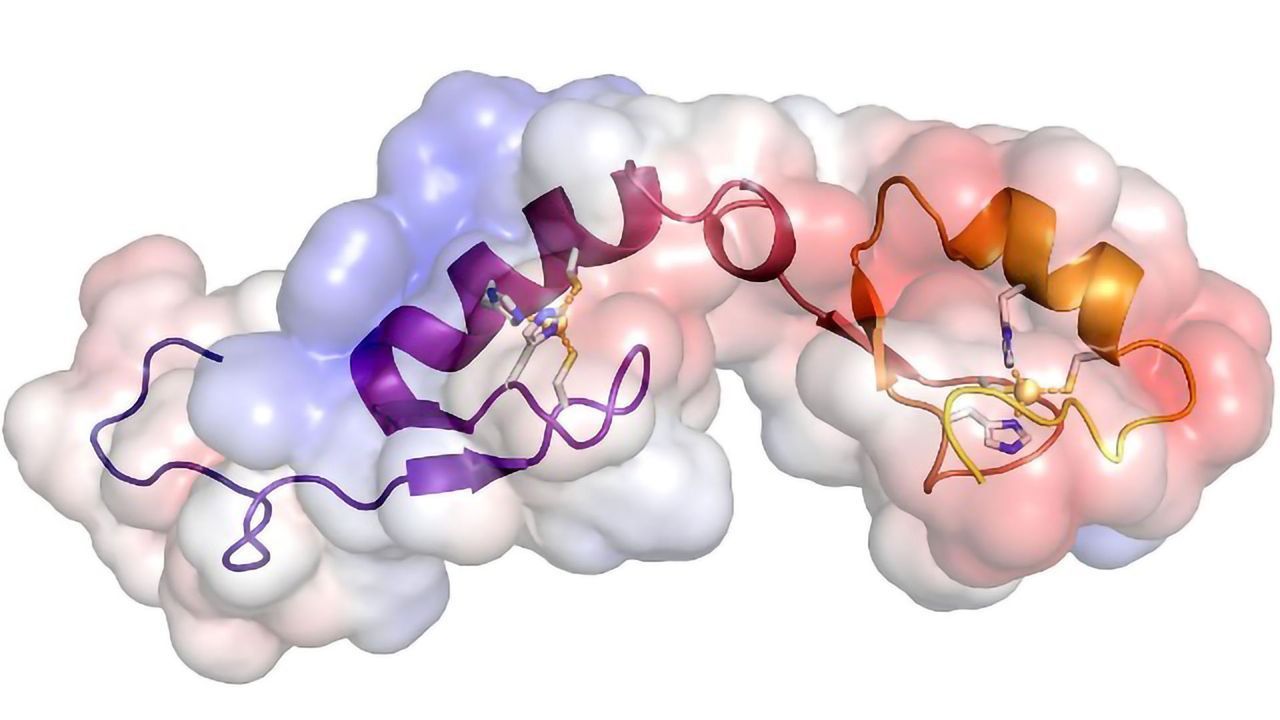 How To Tame "Jumping Genes" in a Genome