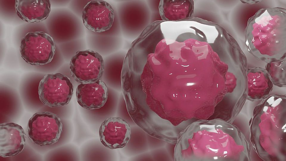Society Isn't Ready To Make Human Brains, Say Ethicists content piece image