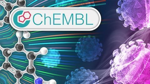 Repurposing Drugs To Manage COVID-19 Progression