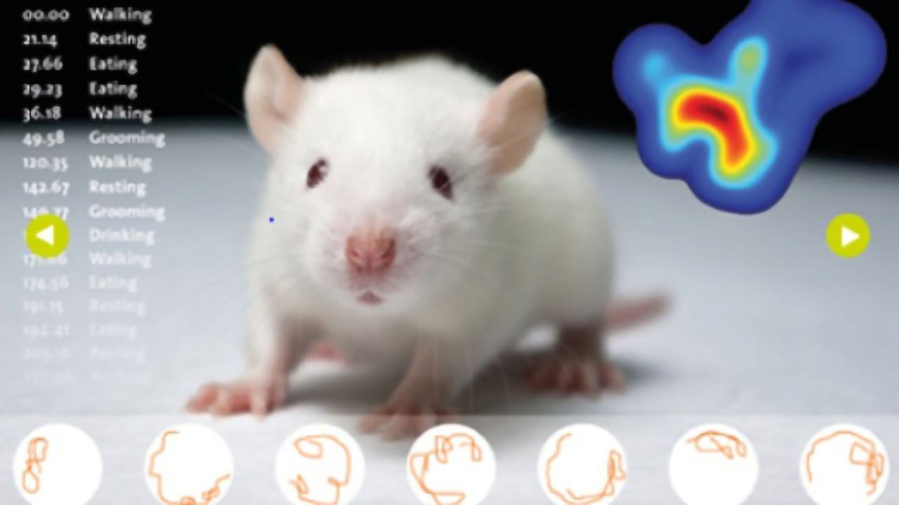 Innovative Solutions for Behavioral Neuroscience Research