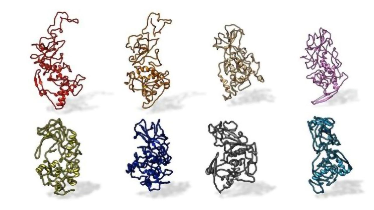 Conserved Antibody Binding-Site Identified Across COVID-19 Variants