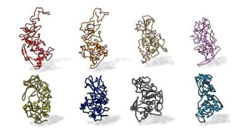 Conserved Antibody Binding-Site Identified Across COVID-19 Variants
