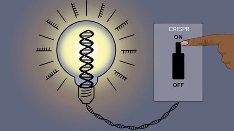CRISPRoff: A New Addition to the CRISPR Toolbox