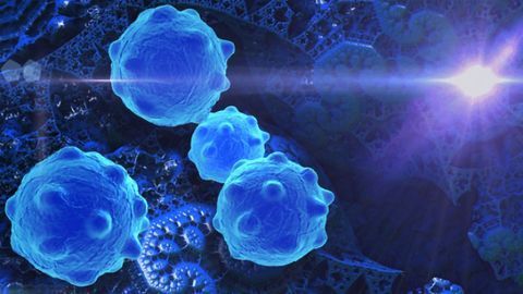 Starving Brain Tumor Cells To Treat Medulloblastoma
