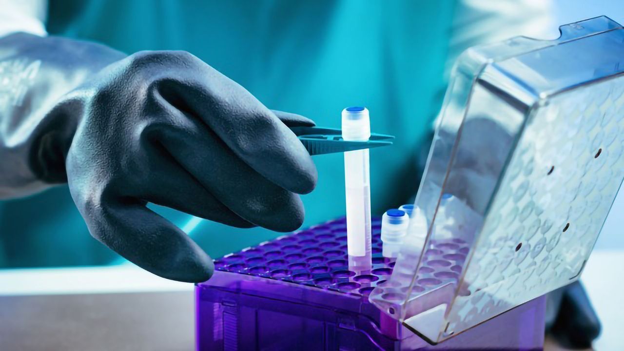 Could Biobanks Be the Currency for an Innovation Economy?